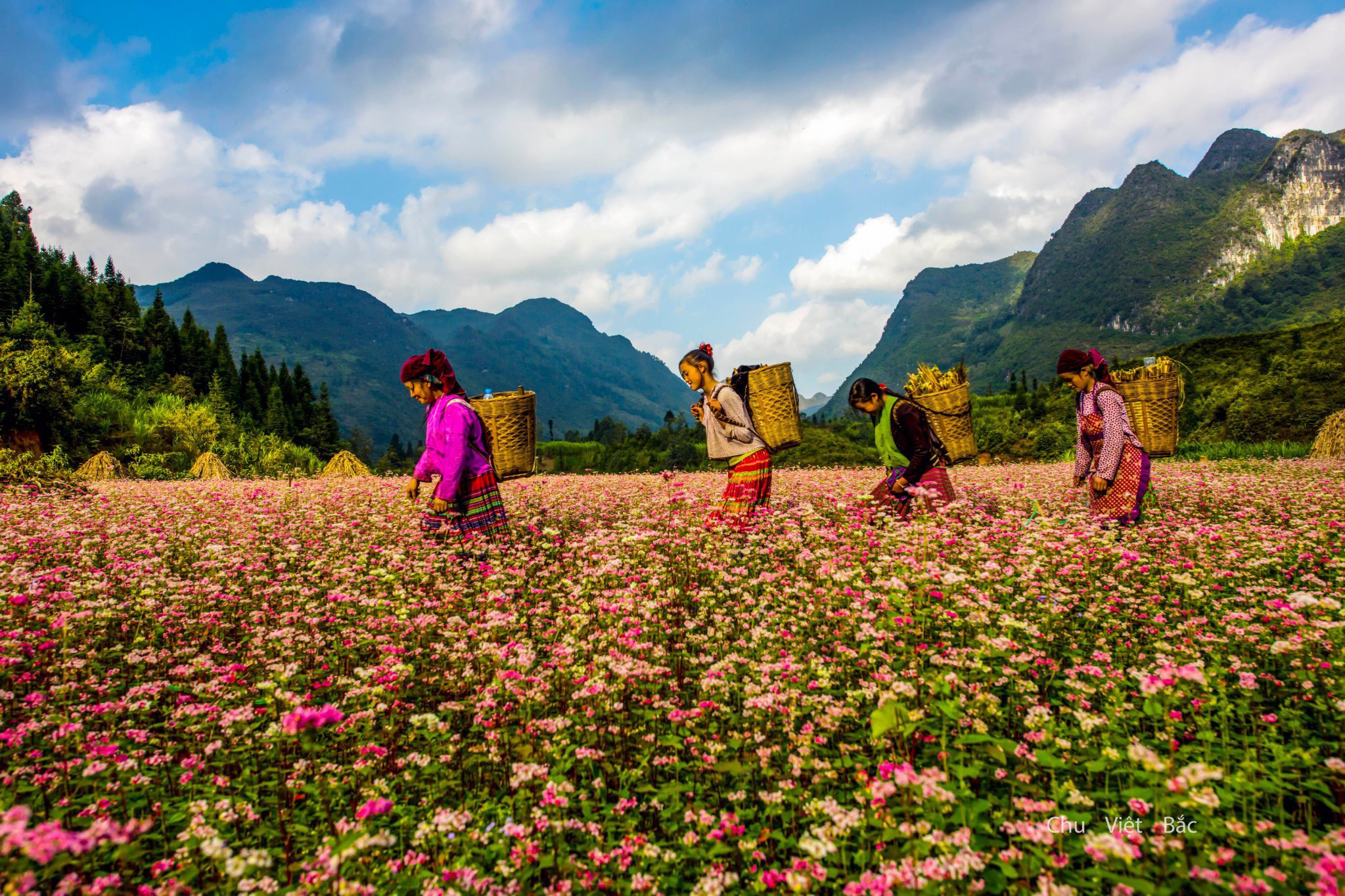 Hà Giang thu hút lượng khách du lịch lớn tới thăm hàng năm