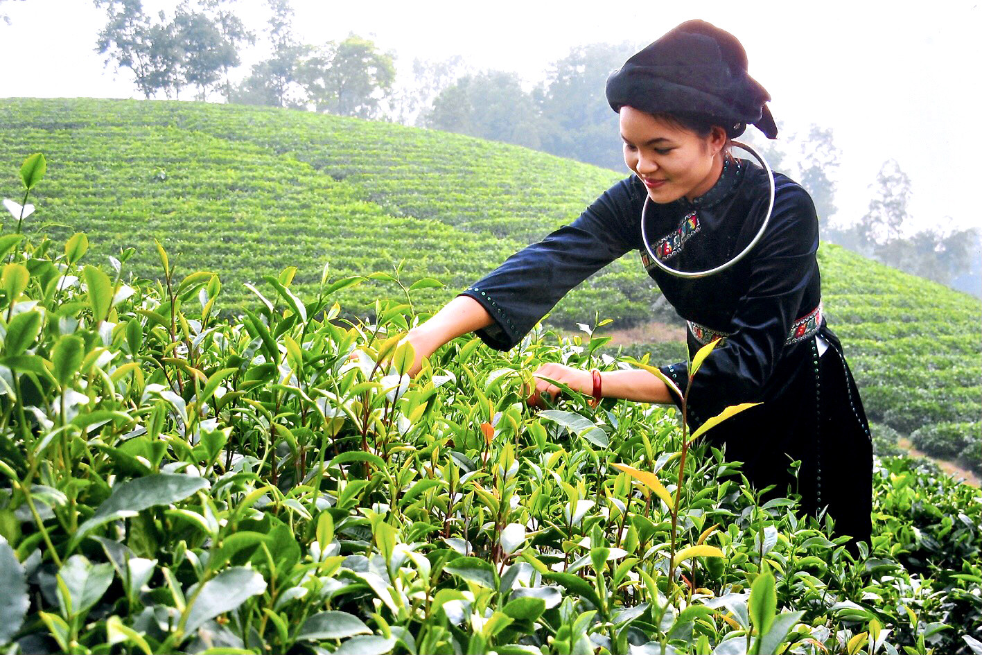 Vị trí địa lý tạo nên khí hậu mát mẻ quanh năm ở Thái Nguyên