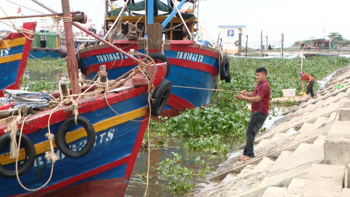 Người dân chủ động ứng phó trước cơn bão